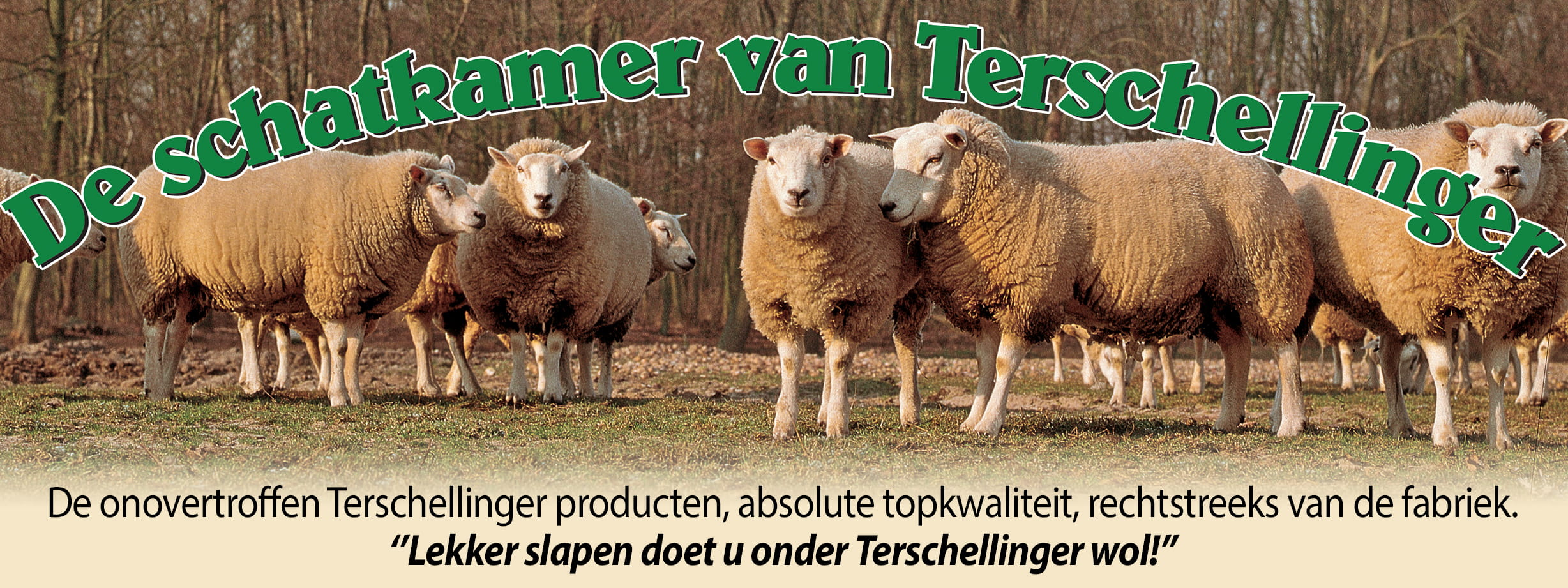 De schatkamer van Terschellinger